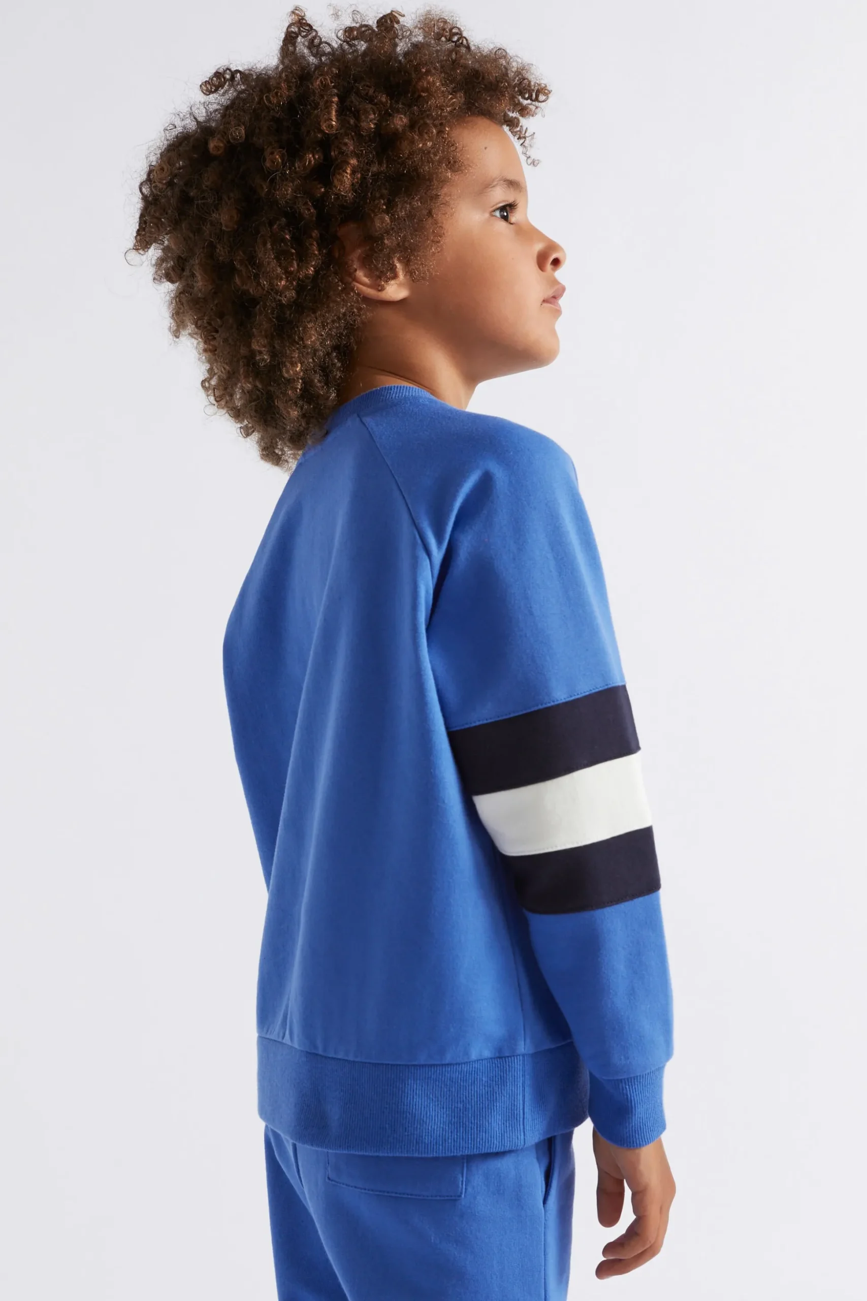 Seed Heritage Knitwear & Sweaters-Colourblock Sweat True Cobalt
