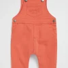 Seed Heritage Shorts-Core Logo Overall Red Clay