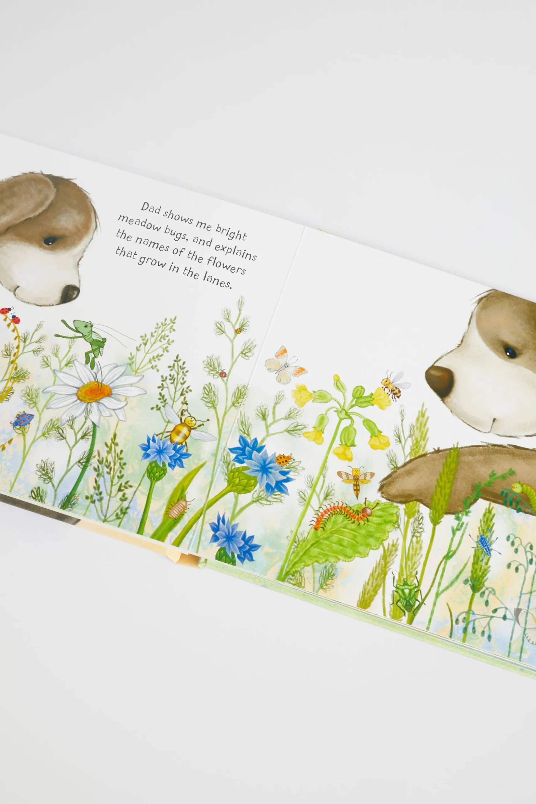 Seed Heritage Books-Jc Daddy And Me Book Multi