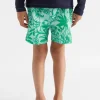 Seed Heritage Swimwear-Jungle Boardshort Cool Aqua