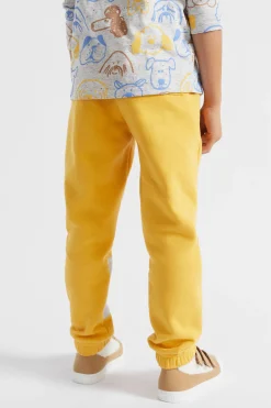 Seed Heritage Pants-Spliced Trackpant Wattle