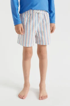 Seed Heritage Swimwear-Stripe Boardshort Multi
