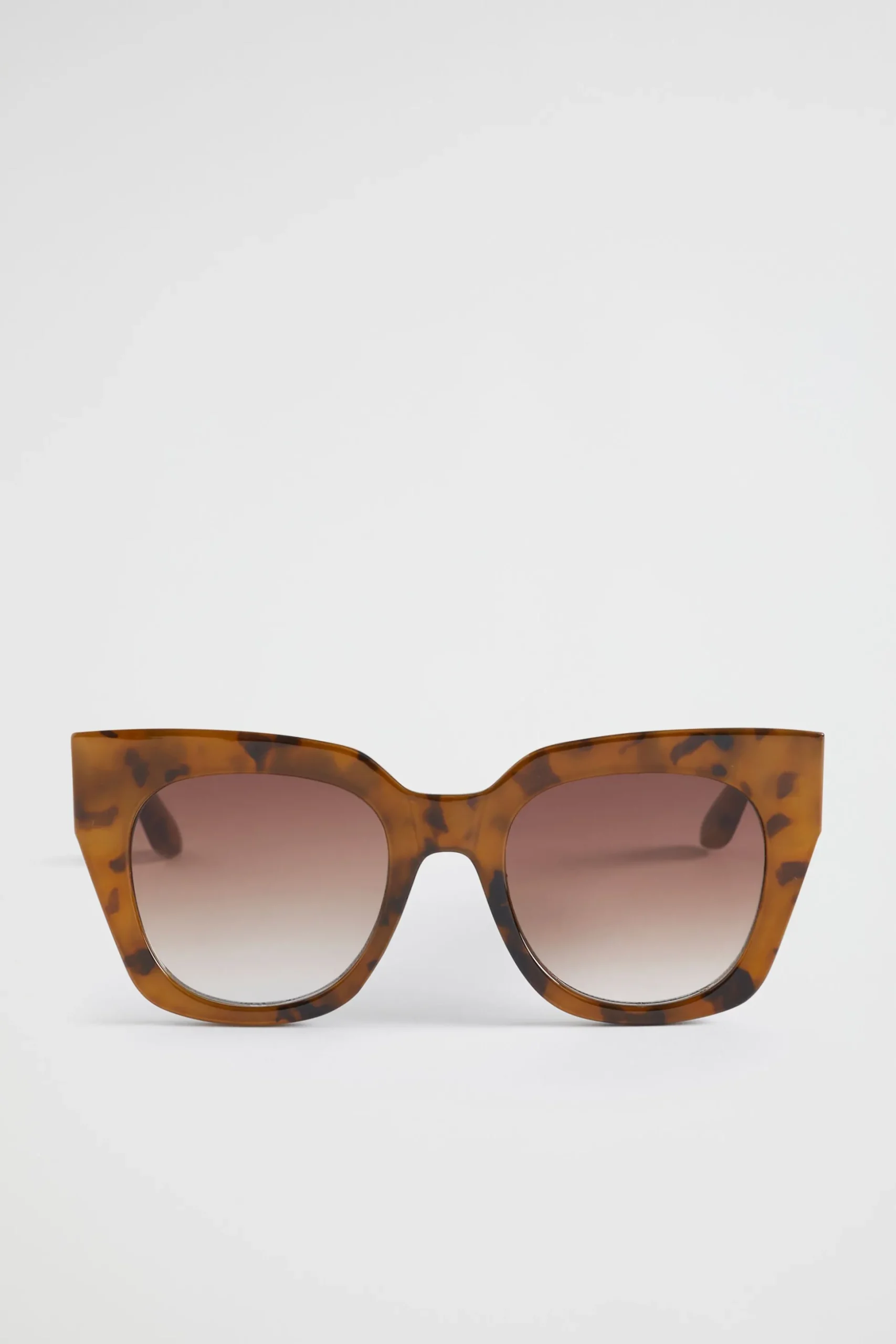 Seed Heritage Sunglasses & Glasses-Sutton D Frame Caramel Tort
